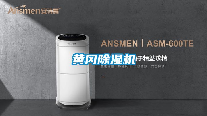 黃岡91视频链接下载