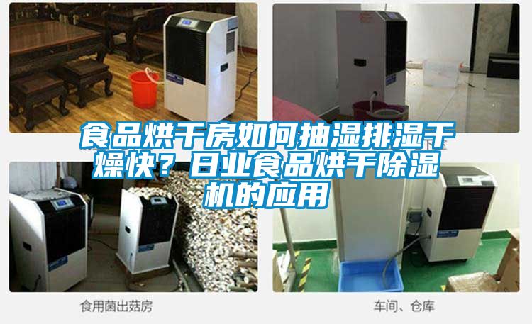 食品烘幹房如何抽濕排濕幹燥快？日業食品烘幹91视频链接下载的應用