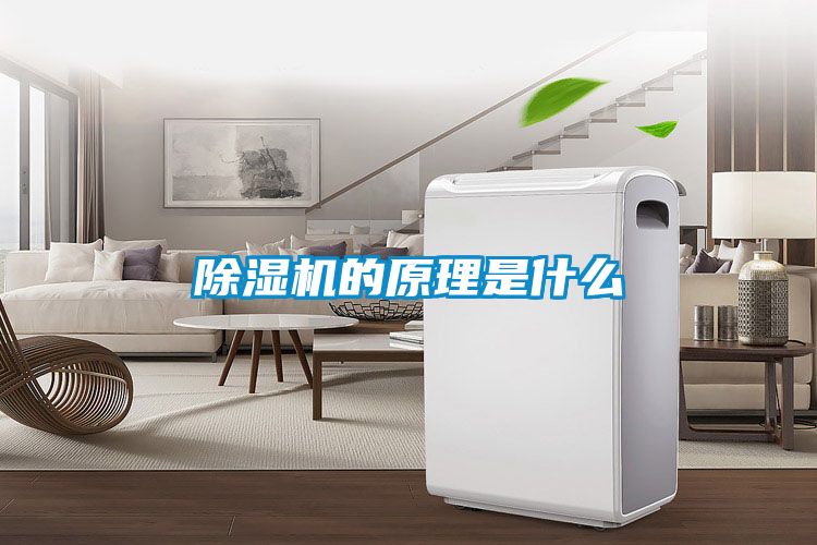 91视频链接下载的原理是什麽