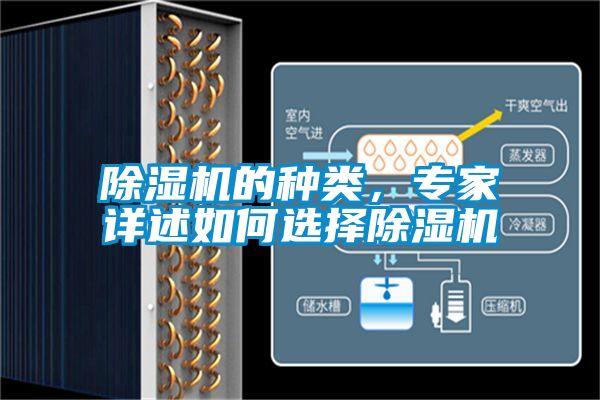 91视频链接下载的種類，專家詳述如何選擇91视频链接下载