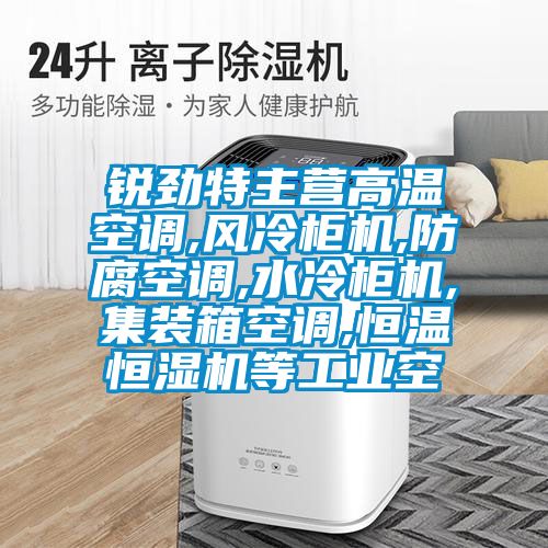 銳勁特主營高溫空調,風冷櫃機,防腐空調,水冷櫃機,集裝箱空調,恒溫恒濕機等工業空