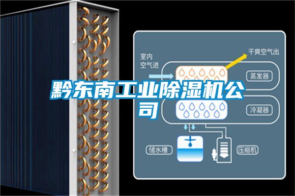 黔東南工業91视频链接下载公司