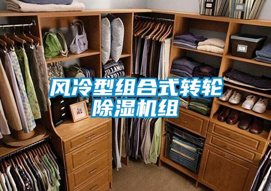 風冷型組合式轉輪91视频链接下载組