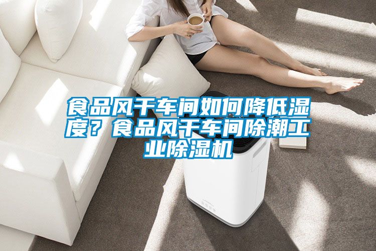 食品風幹車間如何降低濕度？食品風幹車間除潮工業91视频链接下载