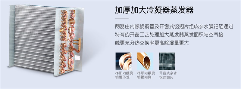 壁掛91视频链接下载2