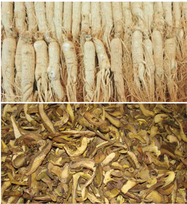 中藥材烘幹處理黄91视频免费看